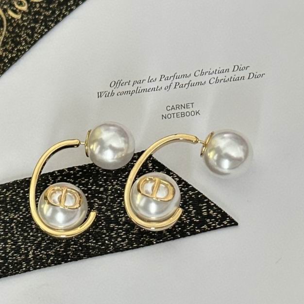 Dior Earring 01lyr36